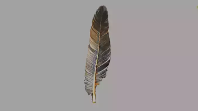 Big Bird Feather Low-poly 3D model