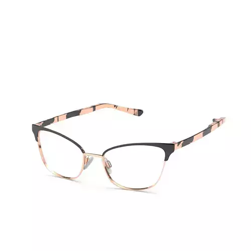 Authentic Eyeglasses