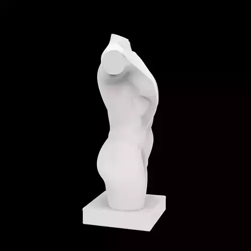 Abstract Human Torso Sculpture 3D Printable Model
