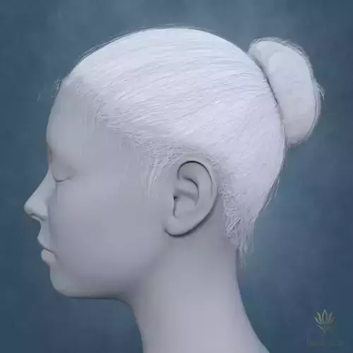 Updo Hair DAZ Studio Low-poly 3D model