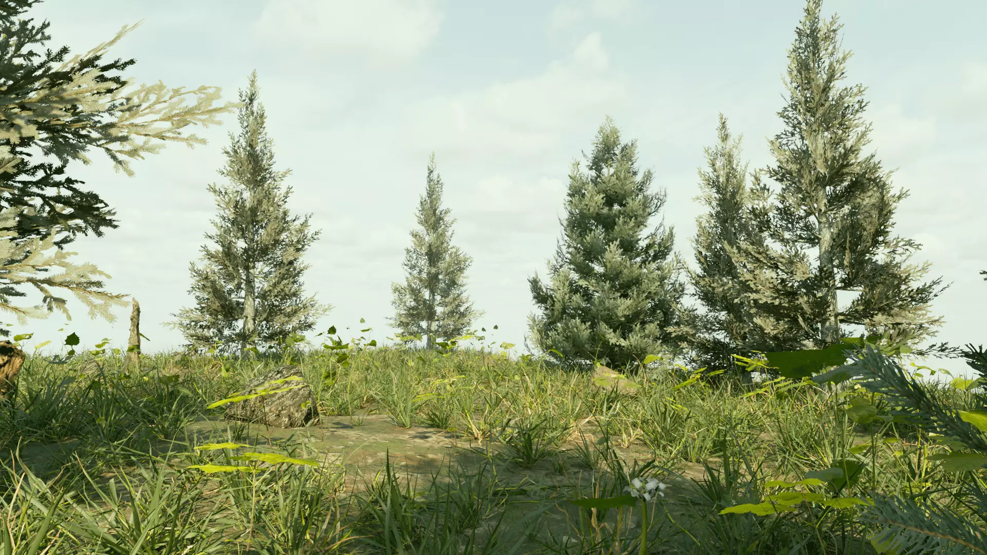 Ultra Realistic FOREST 3D model_3