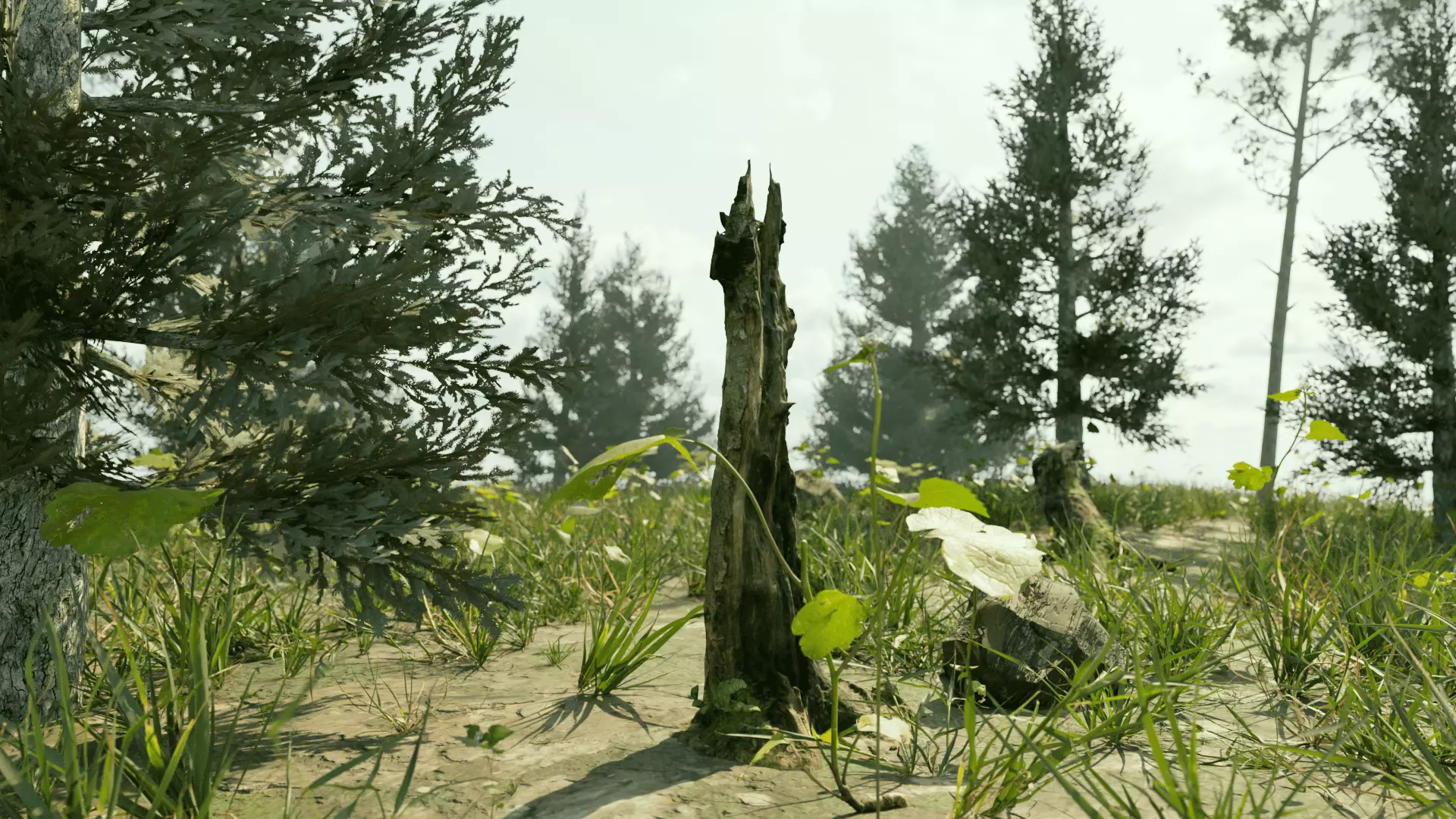 Ultra Realistic FOREST 3D model_5