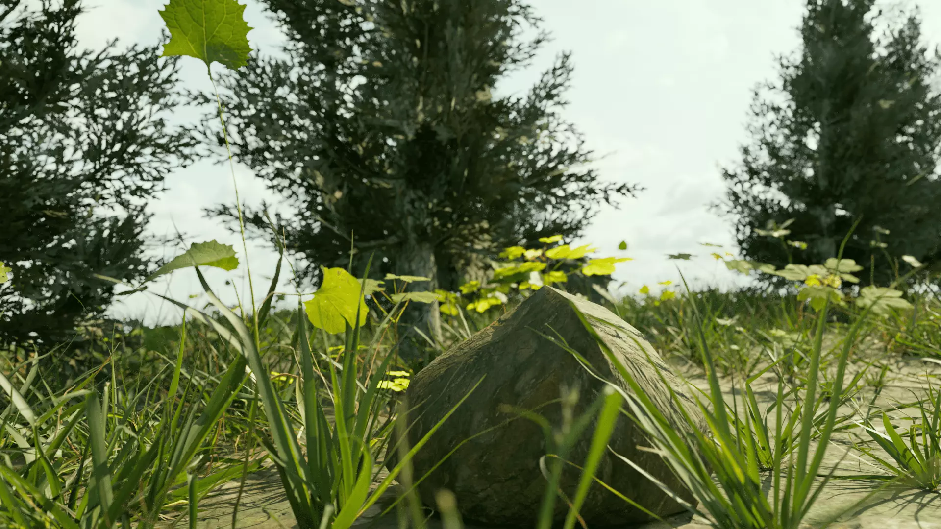 Ultra Realistic FOREST 3D model_7