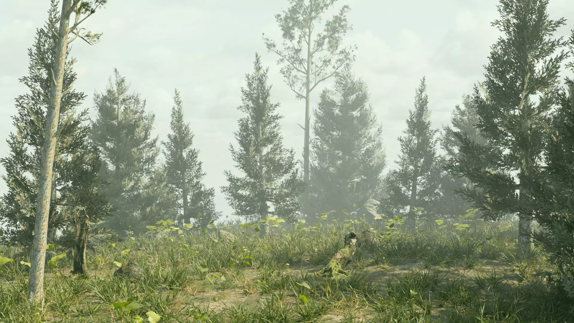 Ultra Realistic FOREST 3D model_8