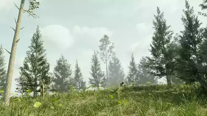Ultra Realistic FOREST
