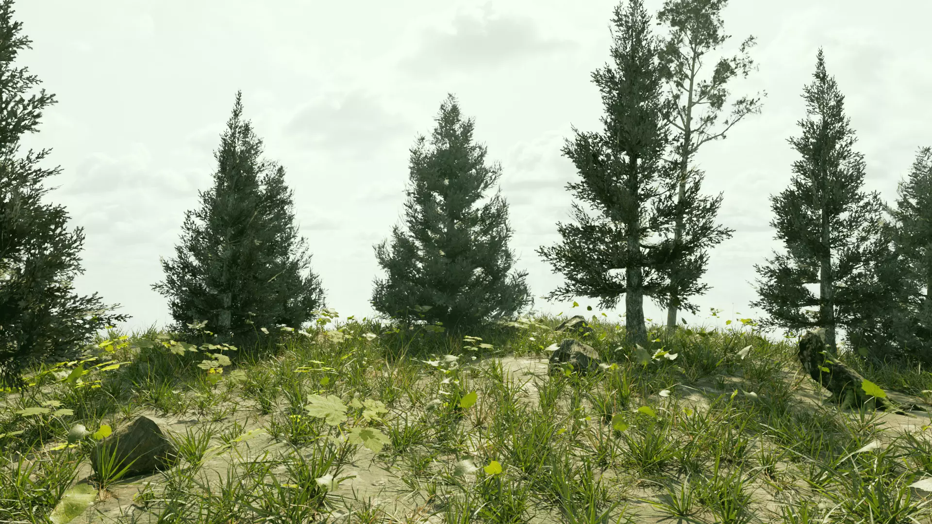 Ultra Realistic FOREST 3D model_6
