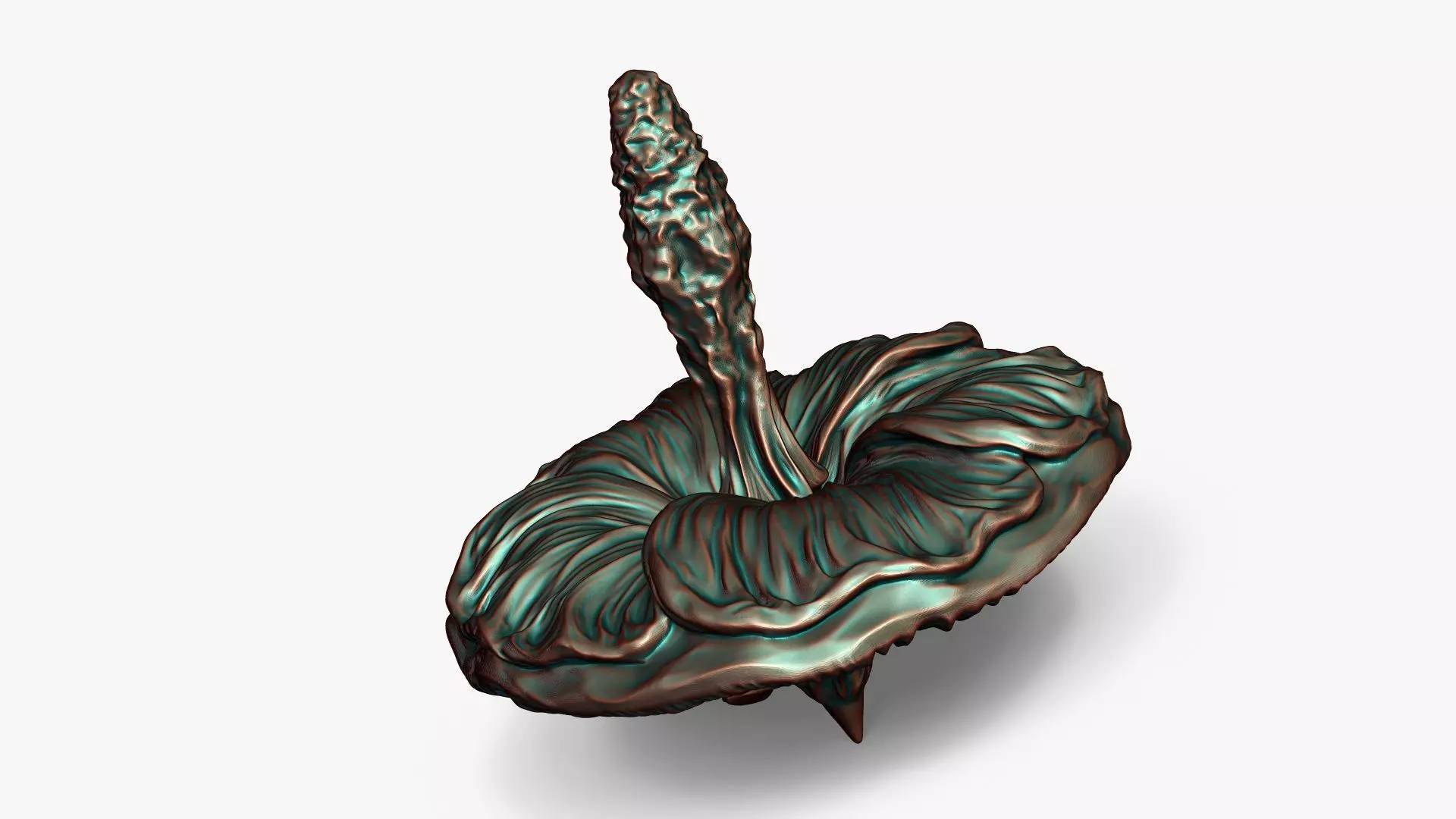 Mallow Flower Spinning Top Toy or Decor 3D print model_1