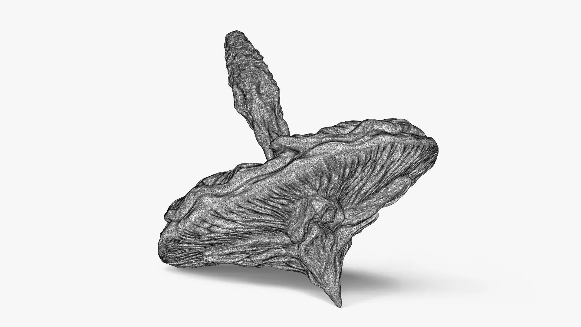 Mallow Flower Spinning Top Toy or Decor 3D print model_7