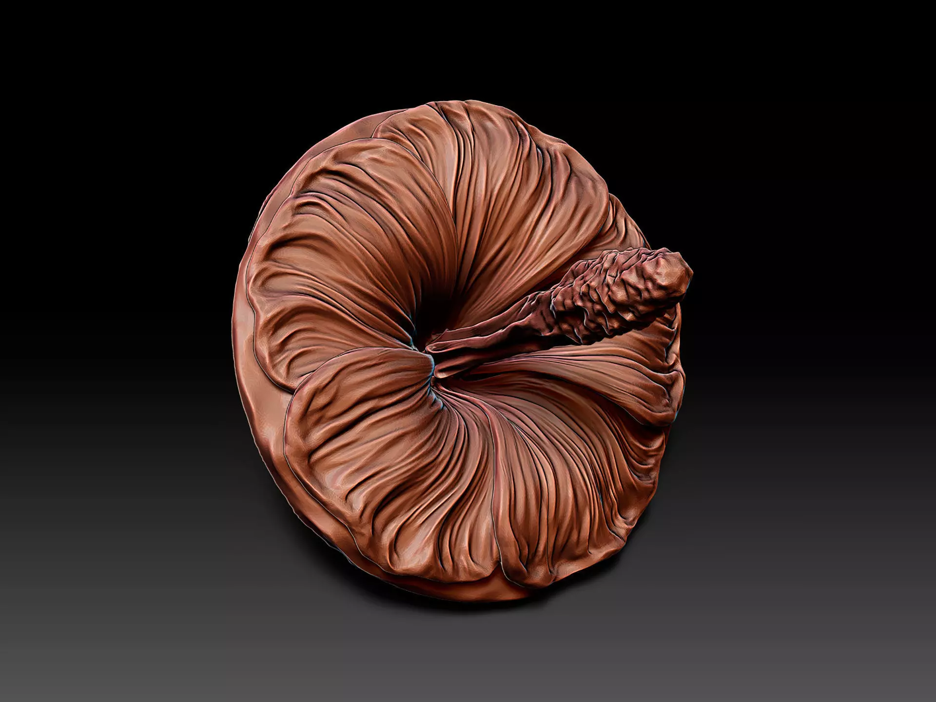 Mallow Flower Spinning Top Toy or Decor 3D print model_5