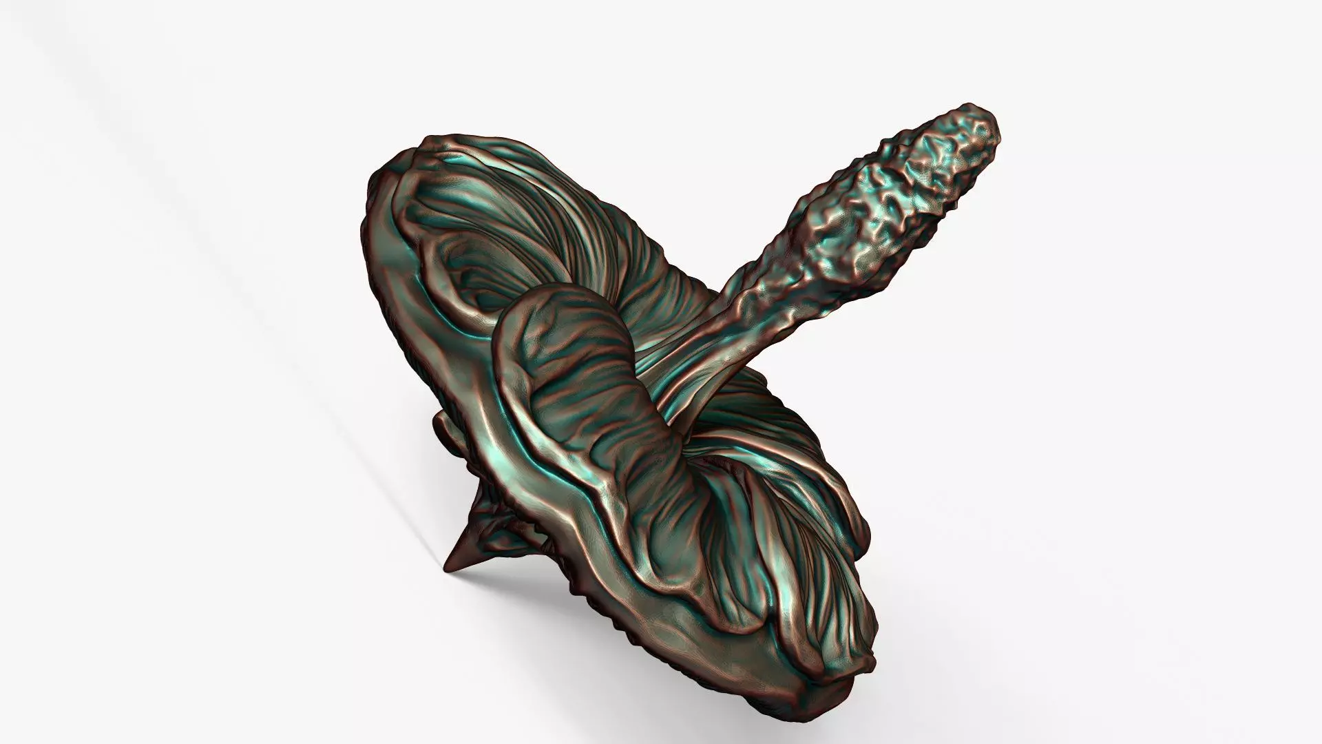 Mallow Flower Spinning Top Toy or Decor 3D print model_2