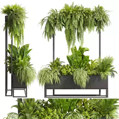 Collection plant vol 634 - fern - peace lily - banana - palm