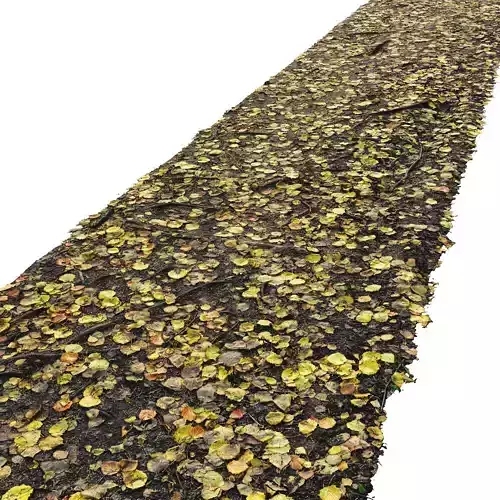 The material of the forest autumn road N04 - 8 meters 3D model