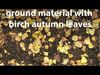 Autumn roads and paths 3D Model Collection_1