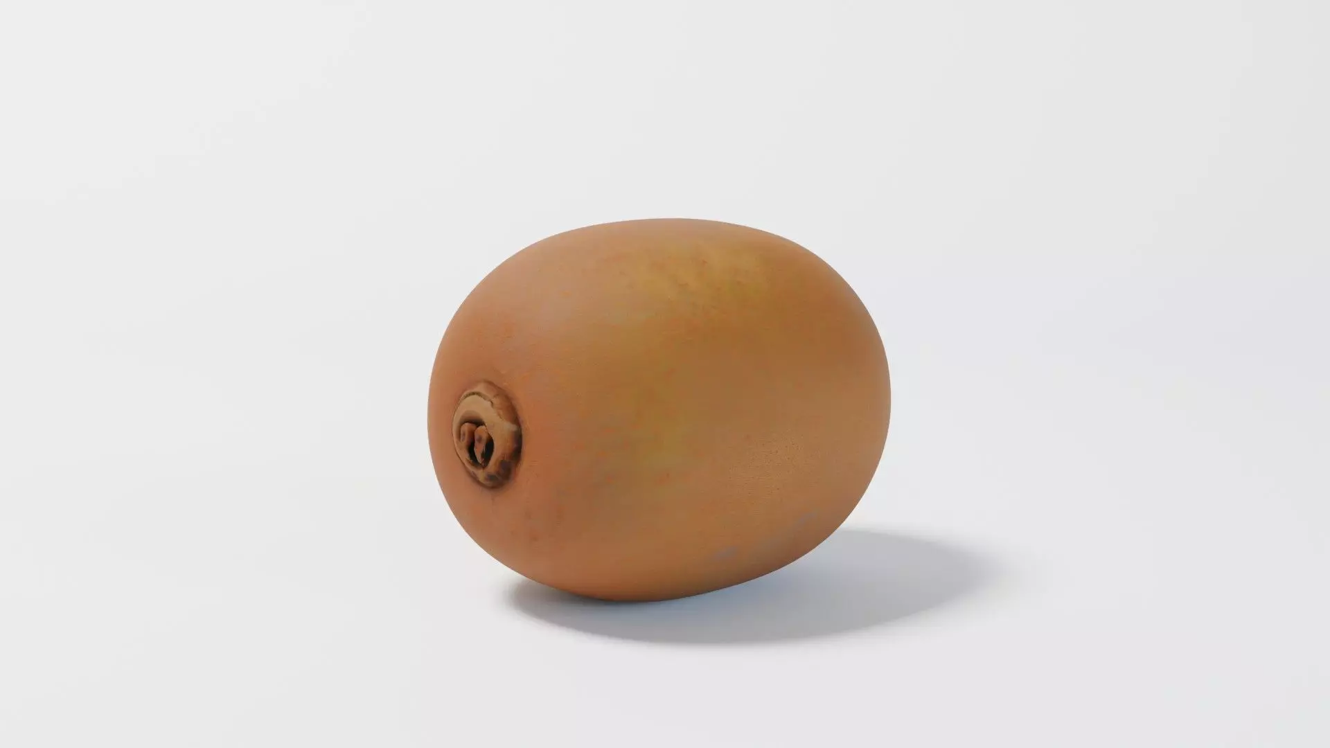 A Kiwi 3D model_0