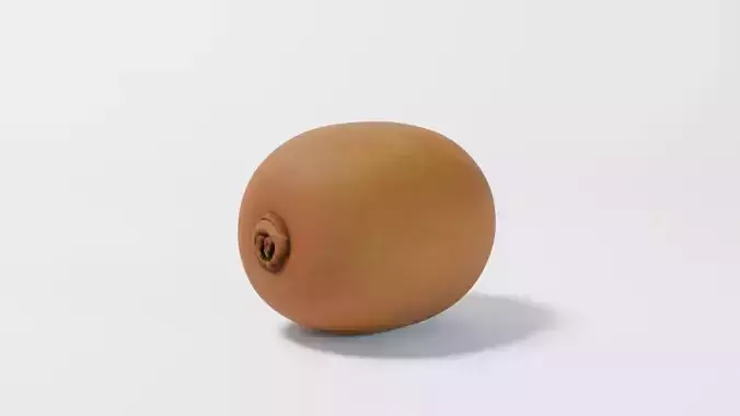 A Kiwi 3D model