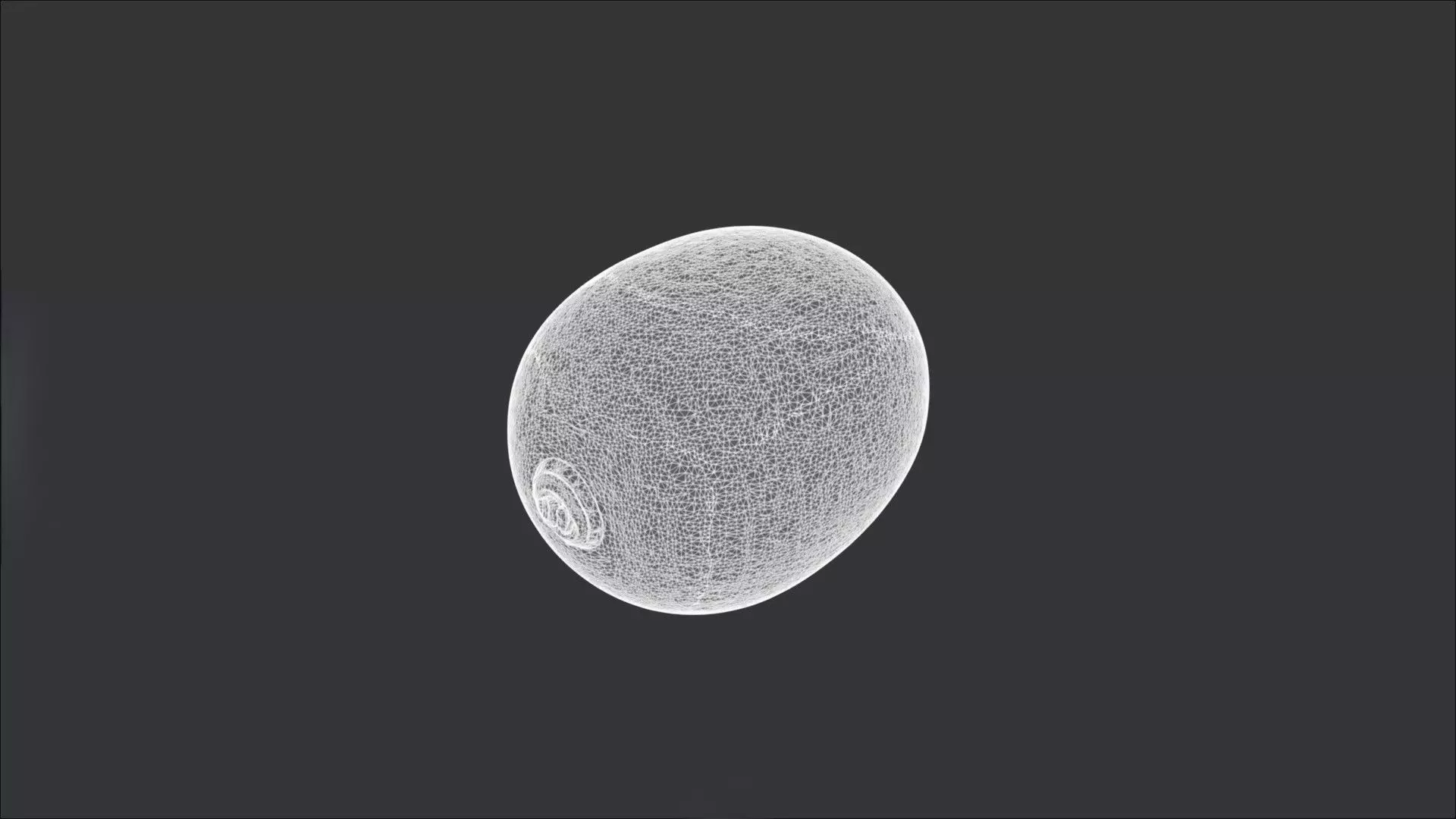 A Kiwi 3D model_3