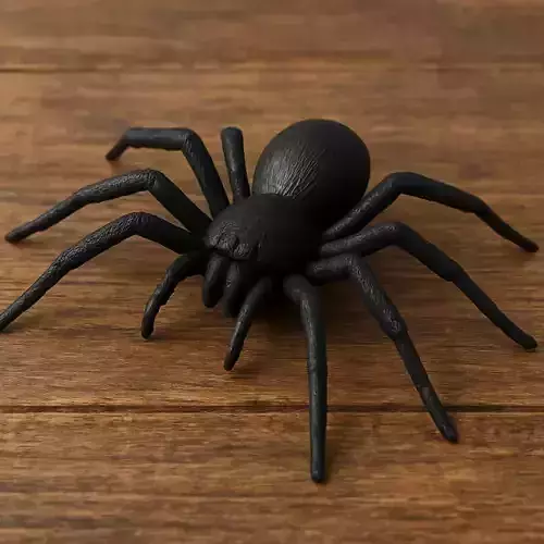 Black Spider 