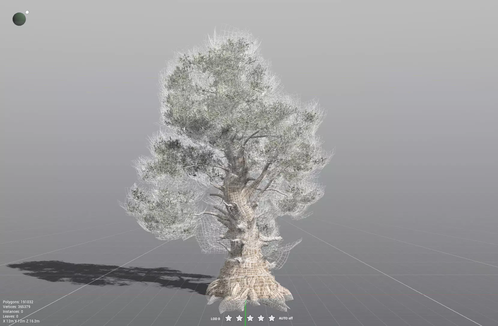 EVERYPlant Great Basin Bristlecone Pine 3D model_32