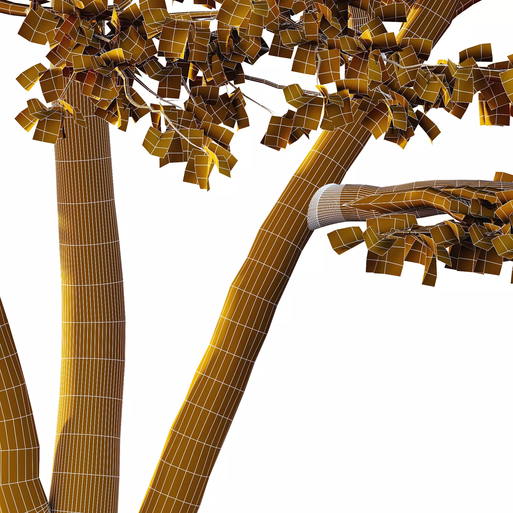 Sycamore Platanus Tree 02 3D model_3