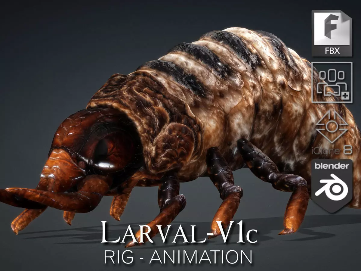 Larval-V1c 3D model_0