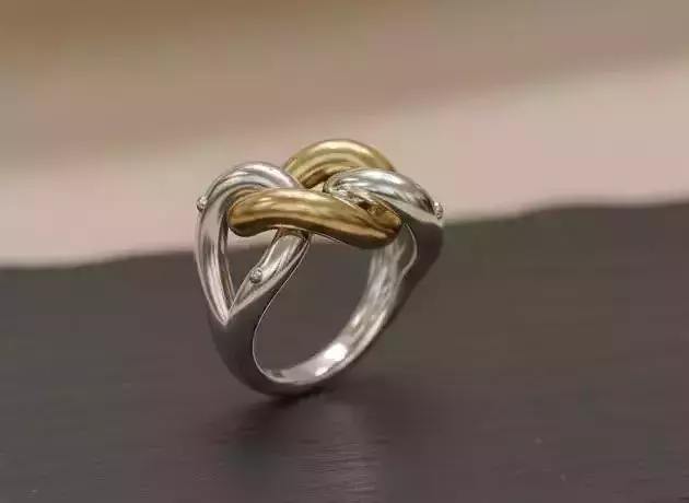Ring Chain Nodo