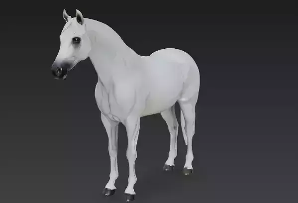 White Horse 3d model