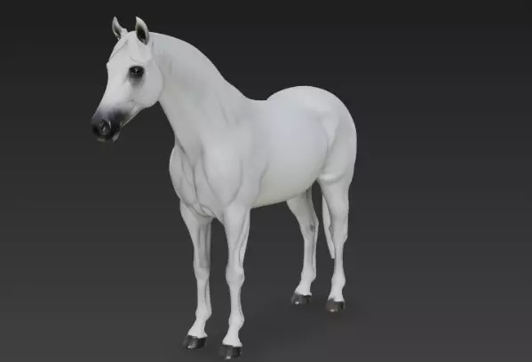 White Horse 3d model 3D model_0