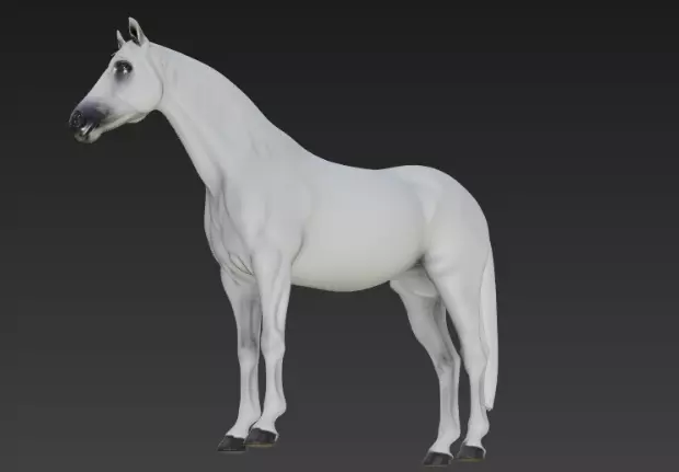 White Horse 3d model 3D model_3