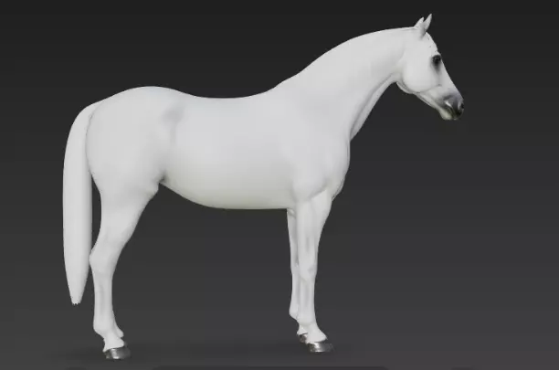 White Horse 3d model 3D model_5
