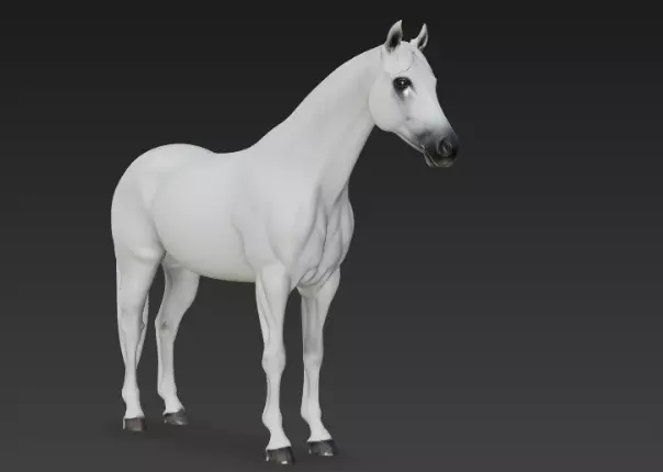 White Horse 3d model 3D model_2