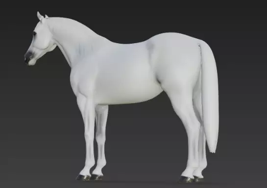 White Horse 3d model 3D model_1