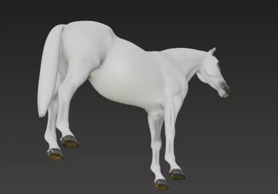White Horse 3d model 3D model_4