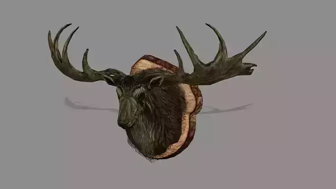 Realistic Deer Head Wall Mounted Low Poly 3D Model Low-poly 3D model