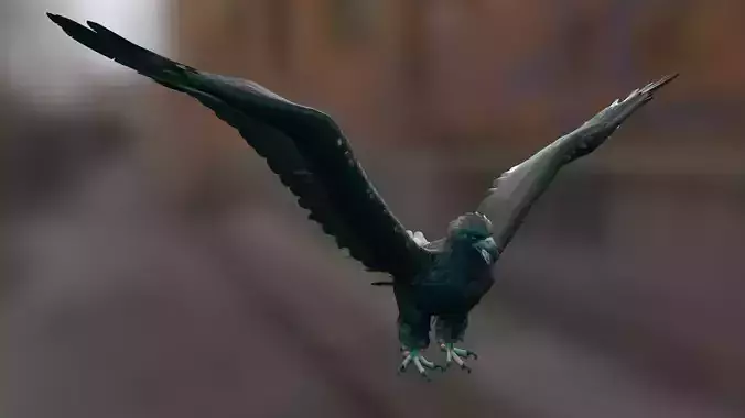 Eagle Low-poly 3D model