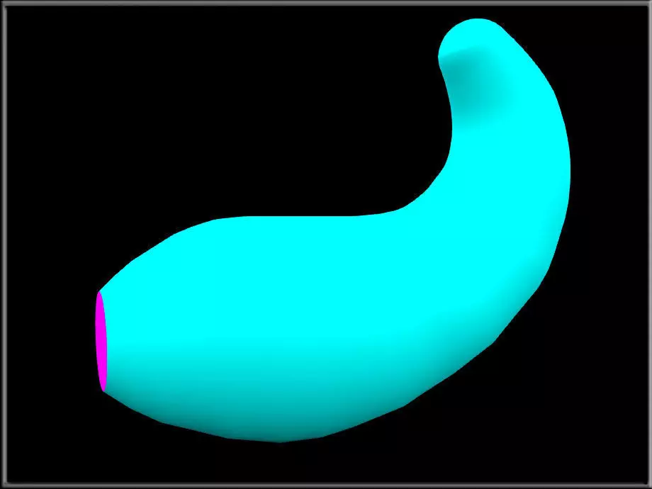 Simple tail Low-poly 3D model_0