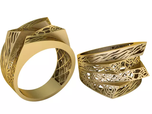 Cage Ring 3D PRINTABLE MODEL 3D print model