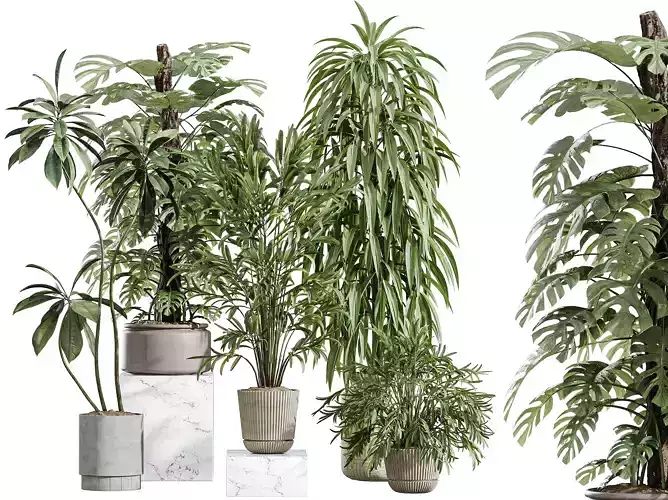 AV Indoor Plants Set 351 Palm Ficus