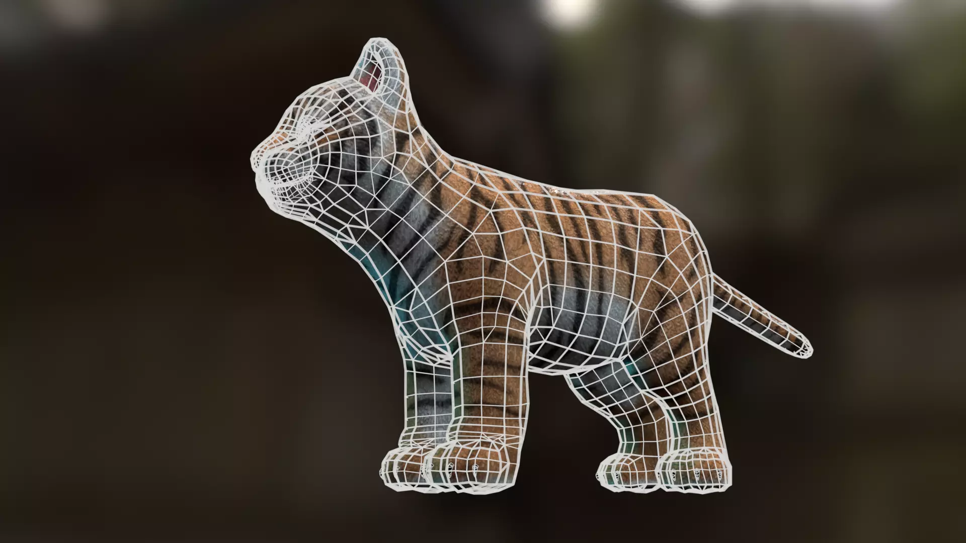 Tiger cub Low-poly 3D model_7