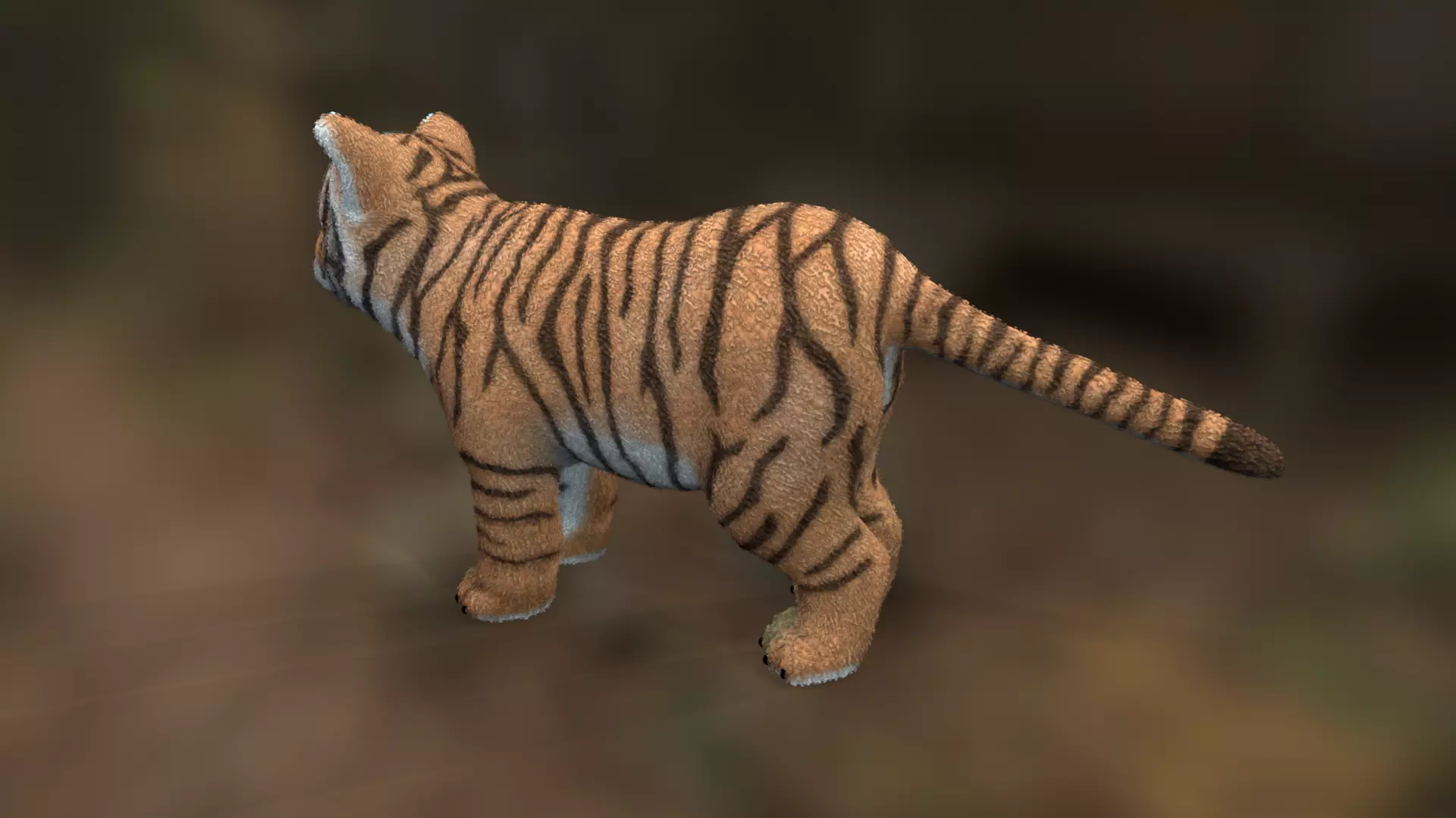 Tiger cub Low-poly 3D model_3