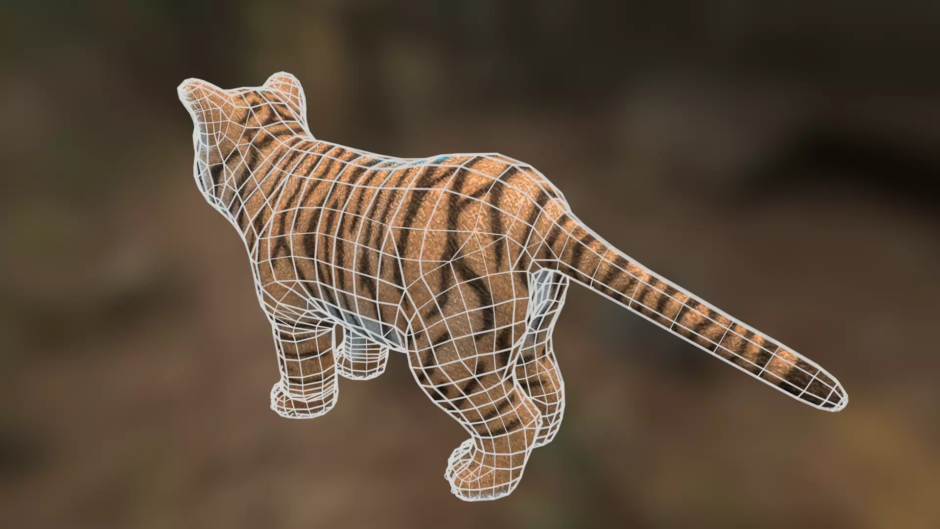 Tiger cub Low-poly 3D model_8