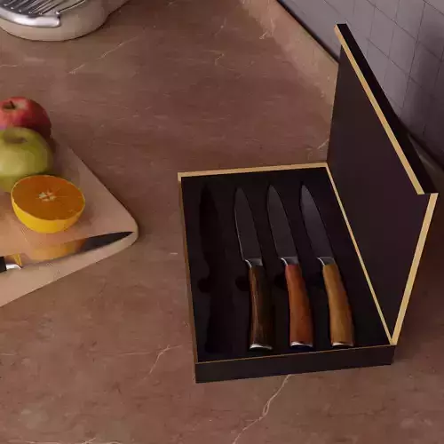 Kitchen Knife Set with Elegant Box  Realistic 3D Model