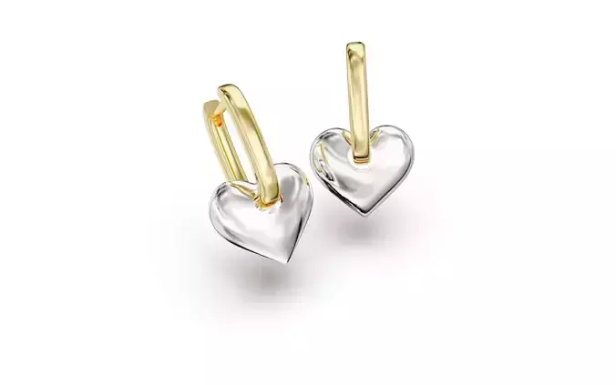 Heart earrings 