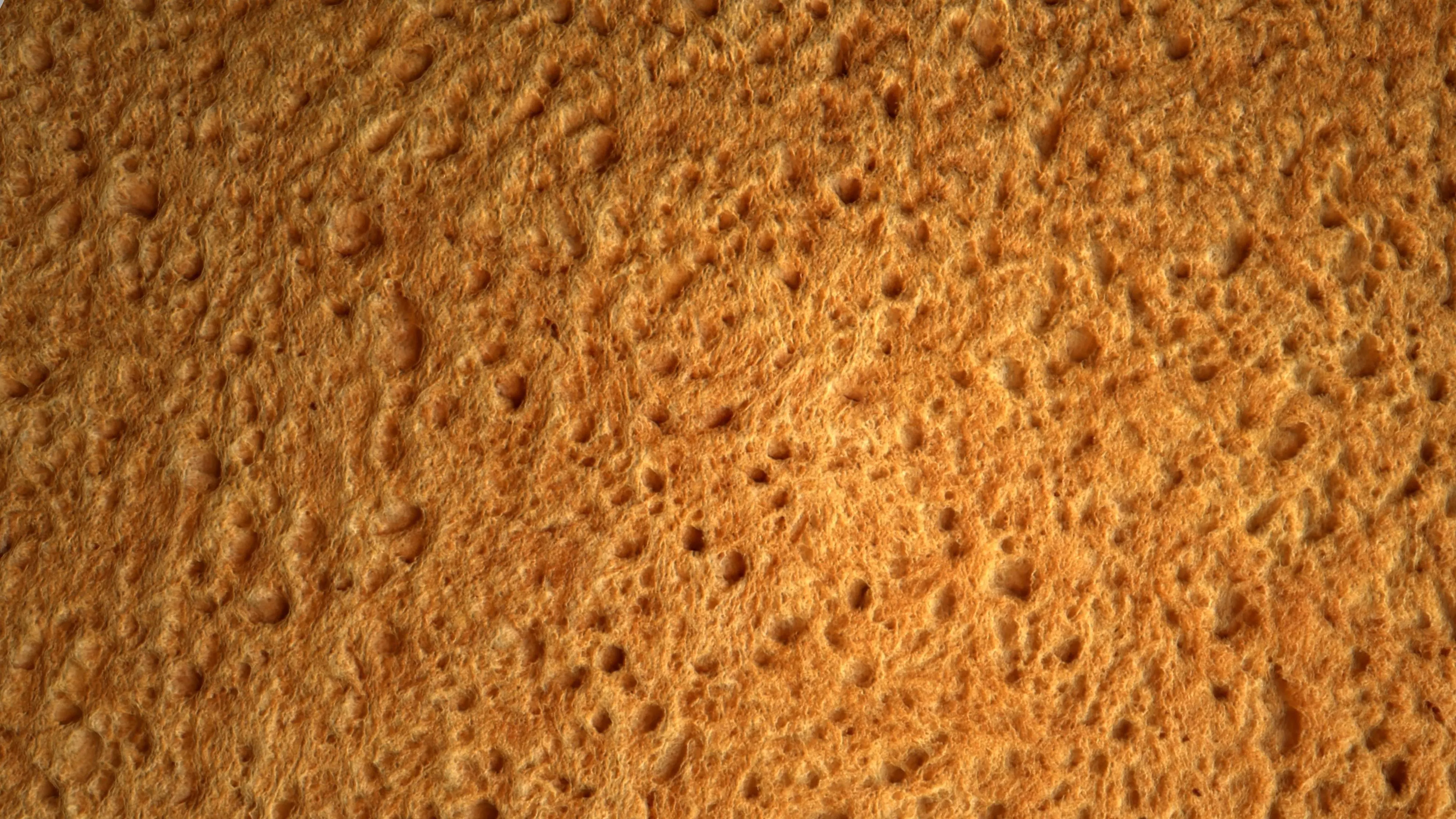 Bread PBR Texture Texture_1