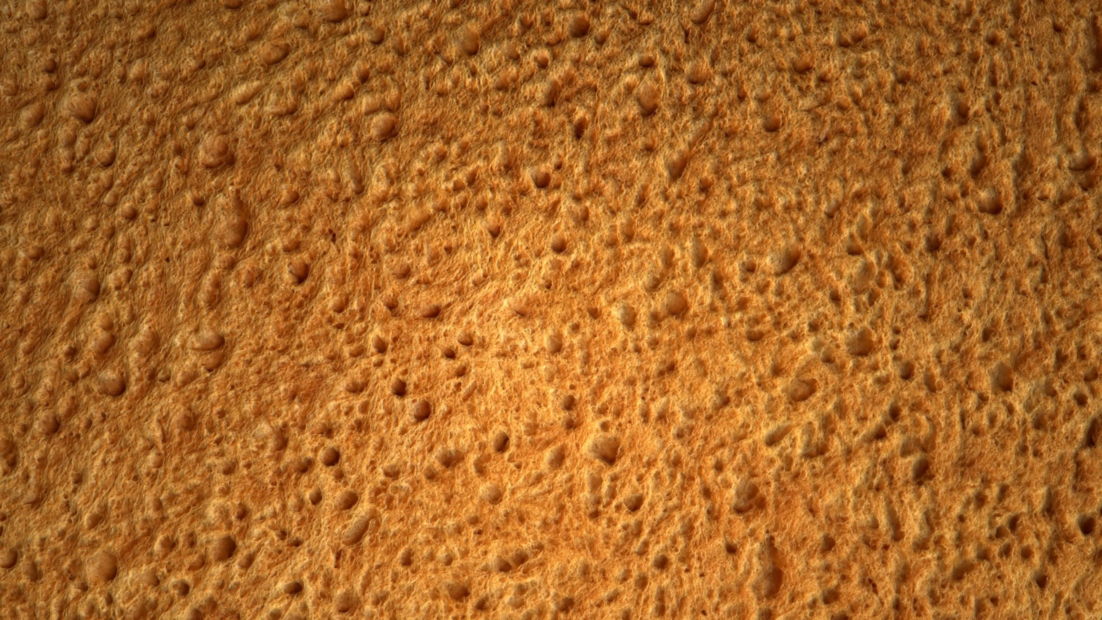 Bread PBR Texture Texture_3