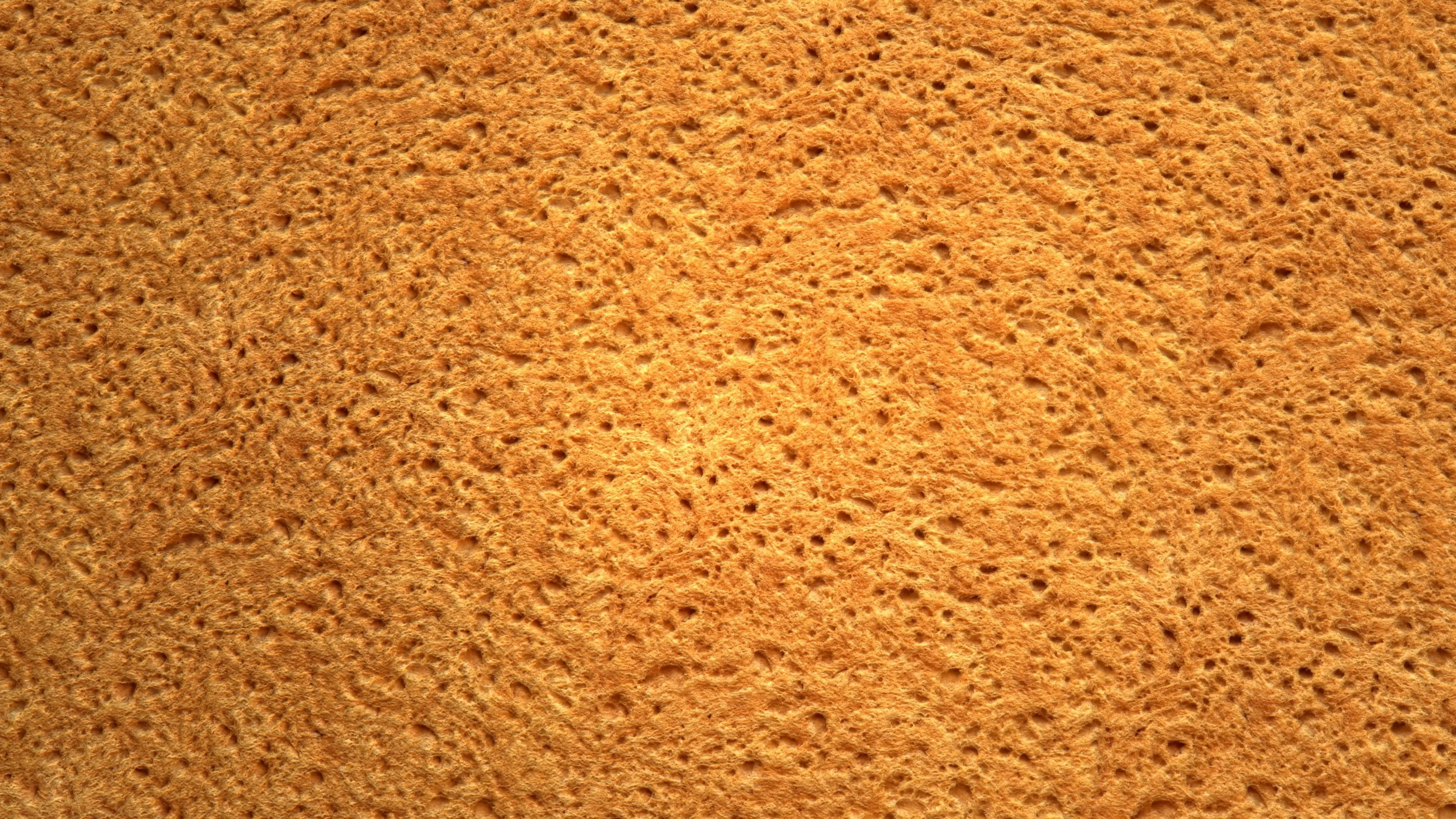 Bread PBR Texture Texture_6