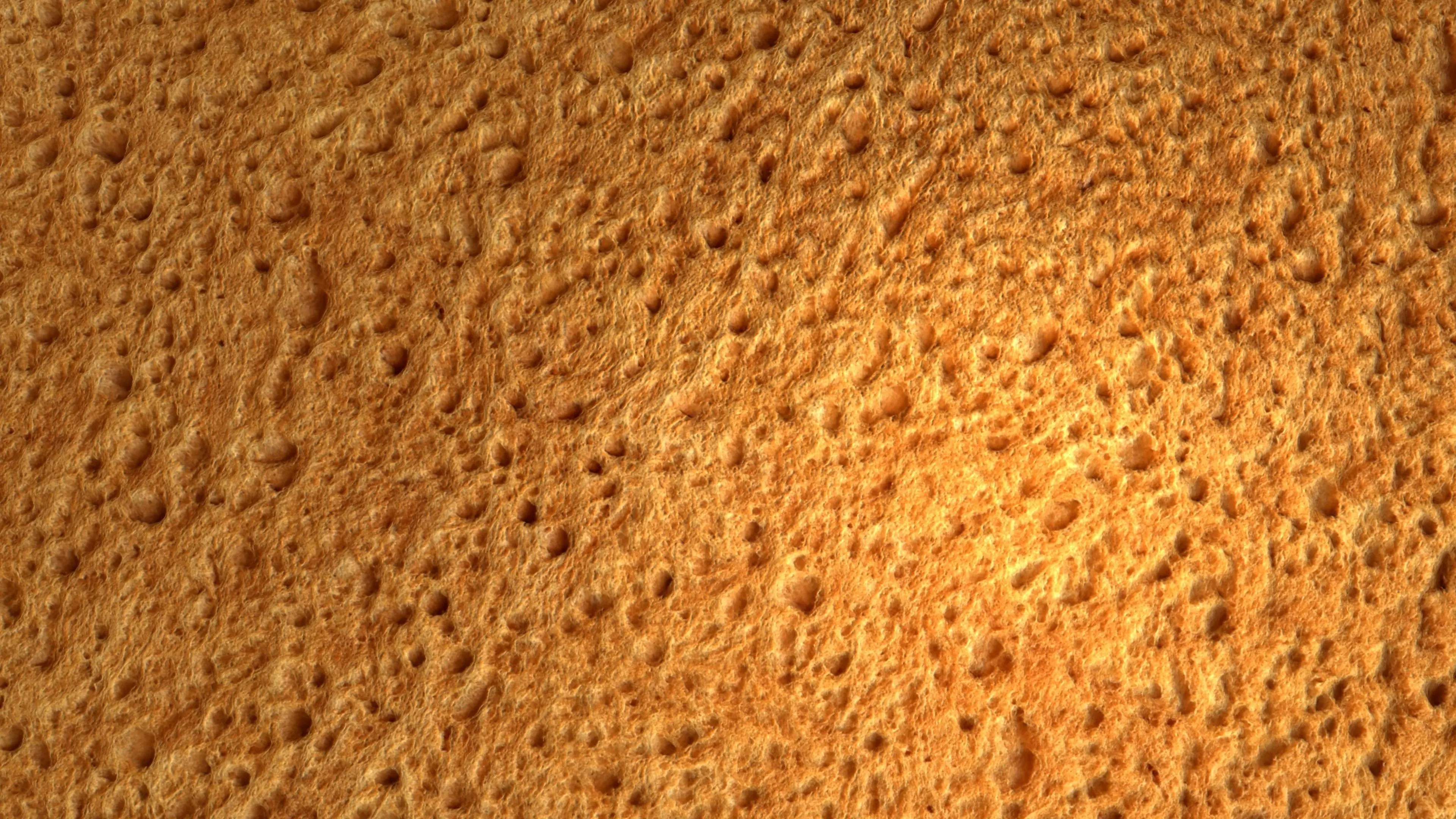 Bread PBR Texture Texture_4