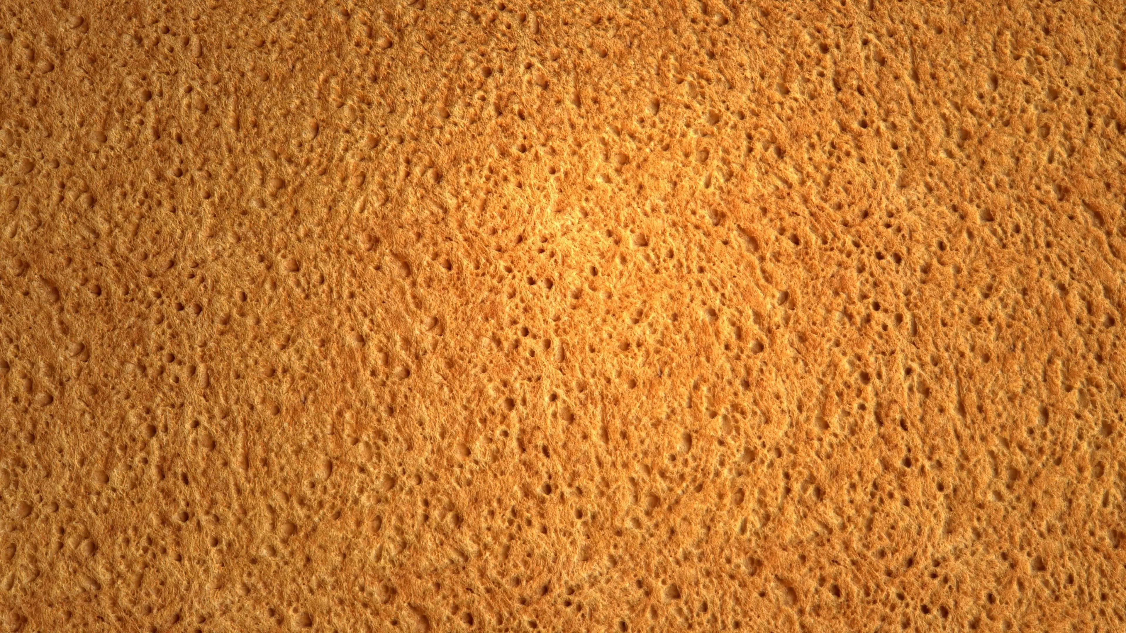 Bread PBR Texture Texture_5