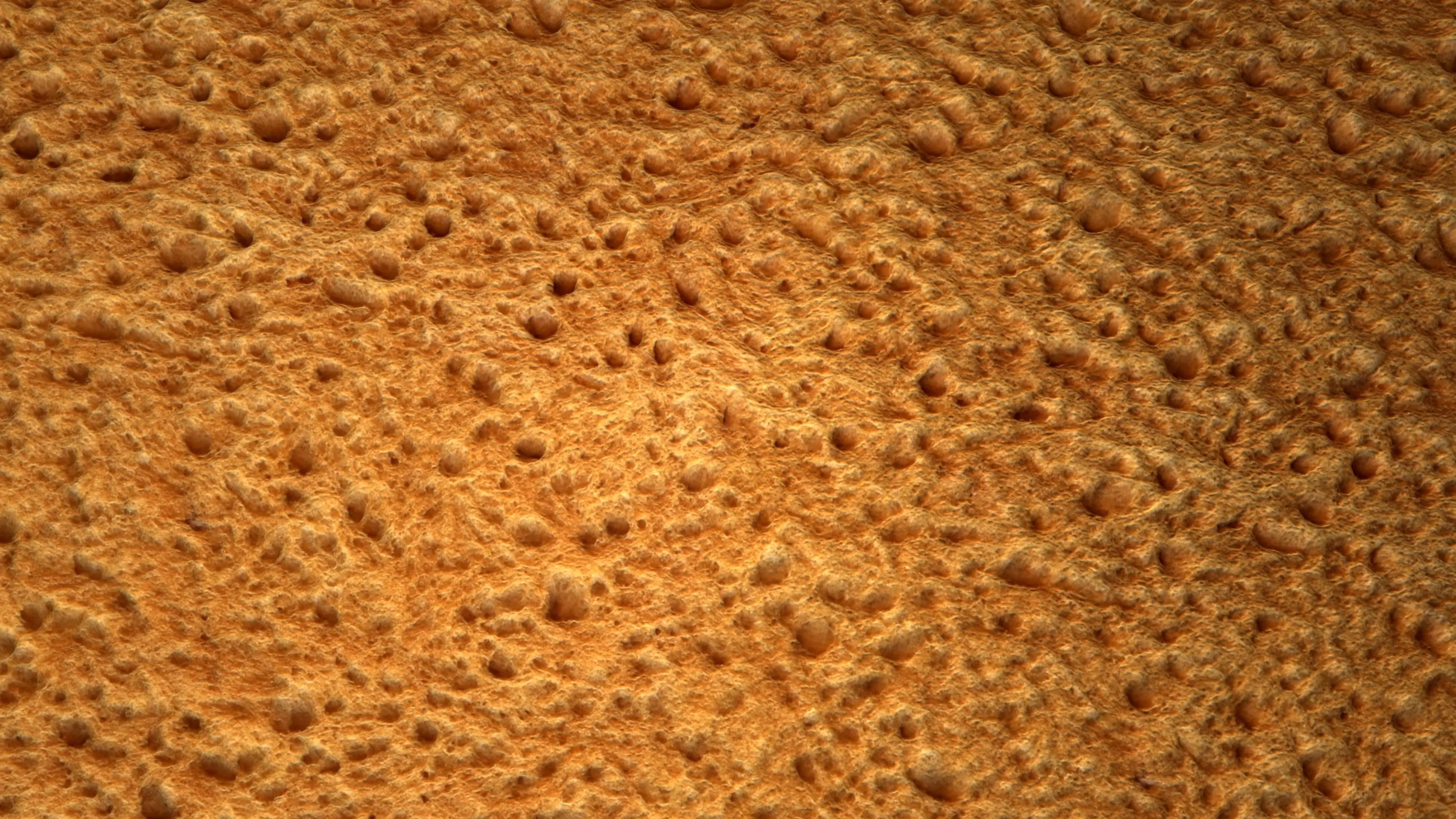 Bread PBR Texture Texture_0