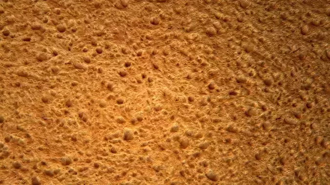 Bread PBR Texture
