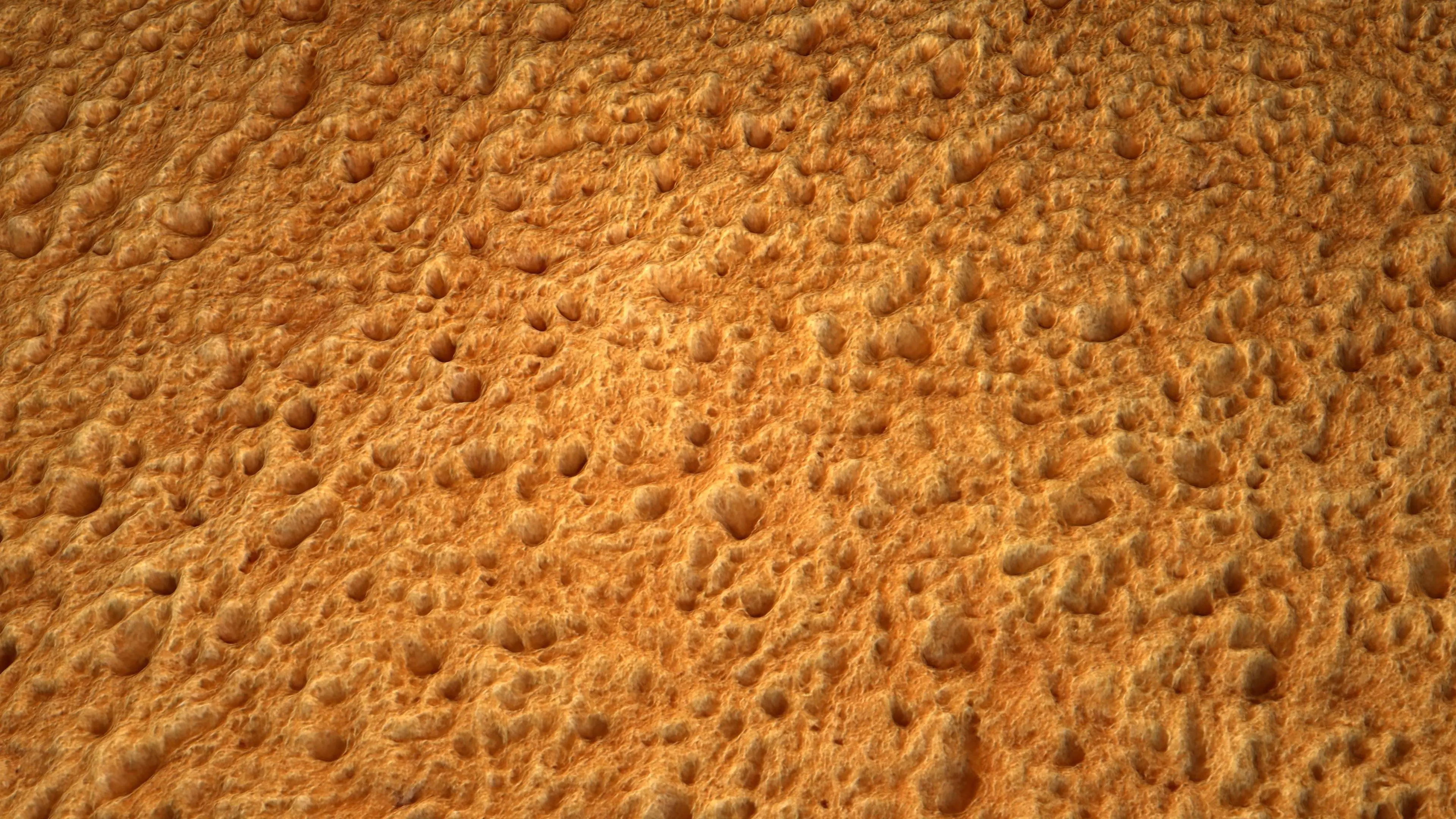 Bread PBR Texture Texture_2